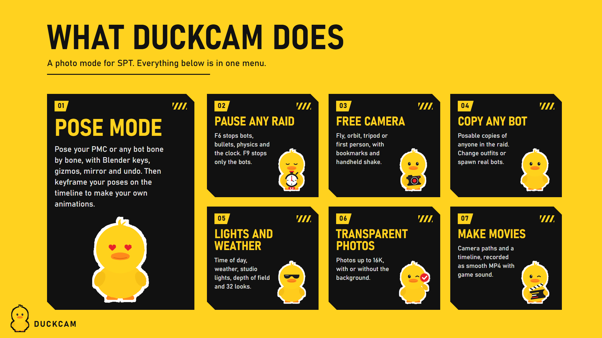 What DuckCam does